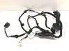 Rear door wiring loom 91621J9010