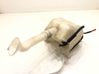 Windshield washer fluid reservoir/tank 