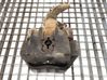 Caliper del freno trasero 22727102