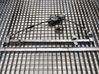 Front door window regulator with motor 1322757080
