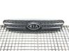 Front grill 863501H200