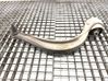 Front control arm 4M0407695C