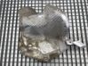 Exhaust heat shield 7340826