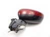 Front door electric wing mirror 