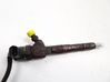 Fuel injector 0445110300