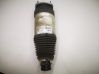 Front air suspension shock absorber 102736100G