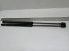 Tailgate strut PA666F30