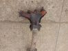 Exhaust manifold 