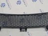 Front grill 51117008820