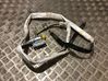 Roof airbag 30317952R