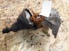 Gear shifter/selector 4913921