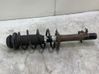 Front shock absorber with coil spring 5202SC