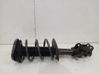Front shock absorber with coil spring 2434468