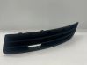 Front bumper lower grill 