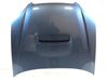 Motorhaube 