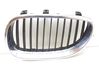 Front grill 