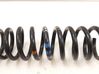 Front coil spring 