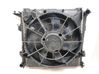 Radiator set 253101H600
