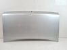 Tailgate/trunk/boot lid 