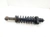 Rear shock absorber with coil spring 