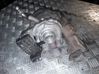 Turbo 4U3Q6K682