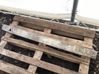 Front bumper cross member 171120007
