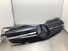 Atrapa chłodnicy / Grill R170CL