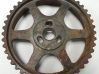 Timing chain sprocket 