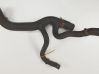 Engine coolant pipe/hose 1C158B273BD