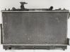 Wasserkühler RF8G