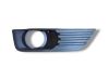 Front fog light trim/grill 