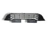 Front bumper lower grill 