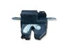 Tailgate/trunk/boot lock/catch/latch 