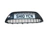 Front bumper lower grill 
