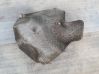 Exhaust heat shield 7340826