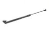 Tailgate/trunk strut/damper 