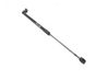 Tailgate/trunk strut/damper 