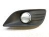 Front fog light trim/grill 8M5119952AEW
