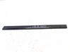 Rear door trim (molding) 