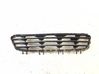 Front bumper lower grill 2446027