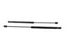 Tailgate/trunk strut/damper 