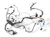 Engine installation wiring loom 7795898