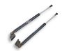Tailgate/trunk strut/damper 