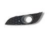 Front fog light trim/grill 13225764
