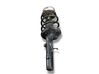 Front shock absorber with coil spring 335834