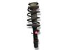 Front shock absorber with coil spring 335833