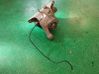 Tylny mechanizm różnicowy AH224W063BC