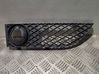 Front bumper lower grill 7135565