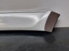 Front door trim (molding) 