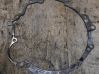 Gearbox gasket 01X103551
